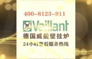 成都威能壁挂炉售后维修电话(vitopend100壁挂炉售后电话)